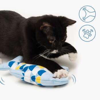 Poisson bleu dansant pour chat - Catit Groovy