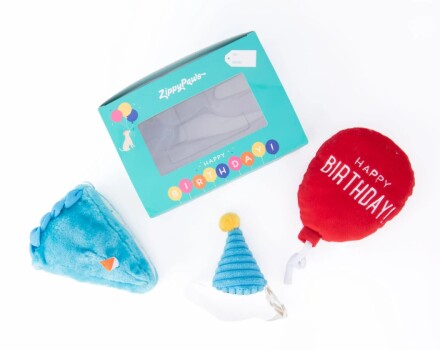 Ensemble de deux peluches et d'un chapeau de fête bleus pour chiens - Zippypaws