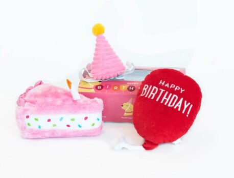 Ensemble de deux peluches et d'un chapeau de fête roses pour chiens - Zippypaws
