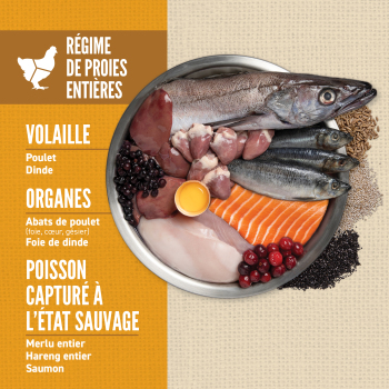 Nourriture Amazing Grains pour chiots - ORIJEN