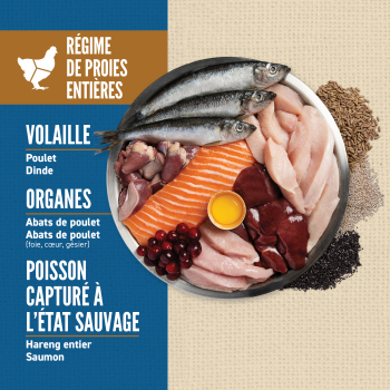 Nourriture pour chien avec grains au poulet - ORIJEN Amazing Grains
