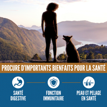 Nourriture pour chien avec grains au poulet - ORIJEN Amazing Grains