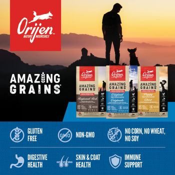 Nourriture pour chien avec grains au poulet - ORIJEN Amazing Grains
