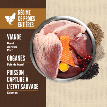 Nourriture pour chien avec grains à la viande rouge - ORIJEN Amazing Grains