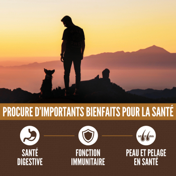 Nourriture pour chien avec grains à la viande rouge - ORIJEN Amazing Grains