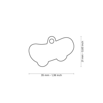 Médaille pour animaux skate Charms - MyFamily