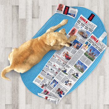 Journal de fouille avec couineurs pour chiens - Kong