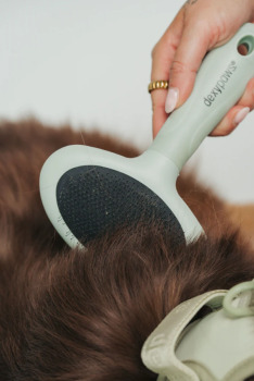 Brosse démêlante pour animaux - Dexypaws