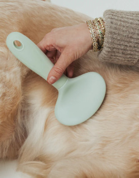 Brosse démêlante pour animaux - Dexypaws