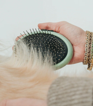 Brosse douce à paume pour animaux - Dexypaws