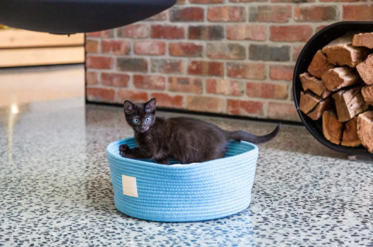 Panier en corde bleu pour petits animaux - FuzzYard