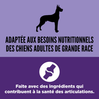 Nourriture sans grains pour chien adulte grande race – ORIJEN