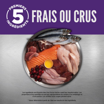 Nourriture sans grains pour chien adulte grande race – ORIJEN