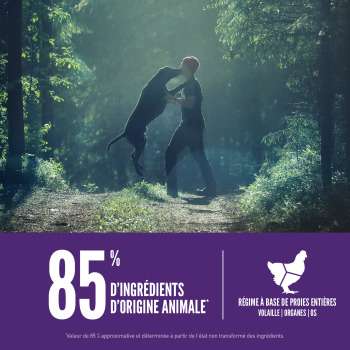 Nourriture sans grains pour chien adulte grande race – ORIJEN