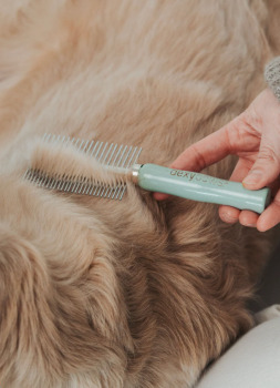 Peigne double face avec manche en bois pour animaux - Dexypaws
