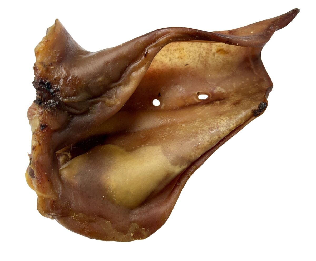 O9636 - Oreille de porc géante avec oréole pour chiens - Wawwaw