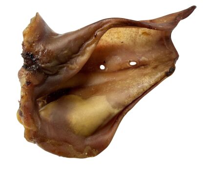 Oreille de porc géante avec oréole pour chiens - Wawwaw