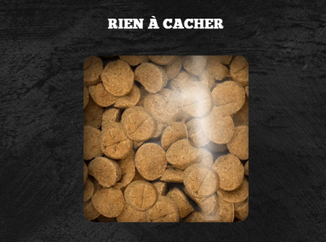 Nourriture sans grains pour chiens de grandes races à l'agneau - Oven-Baked Tradition