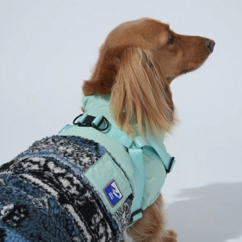 Manteau Robson menthe pour chien - Puppy Gallery