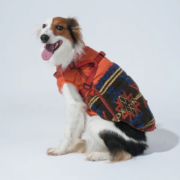Manteau Robson orange pour chien - Puppy Gallery