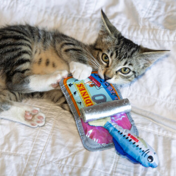Jouet pour chat Crackles sardine avec herbe à chat - Kong