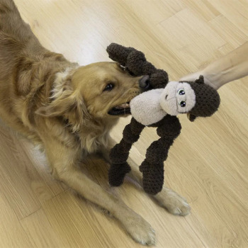 Monkey knots jouet pour chien - Kong