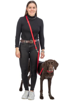 Laisse multi fonction pétrole pour chien - Trixie