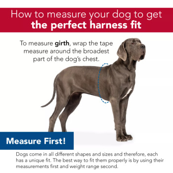 Harnais ajustable en nylon rouge pour chiens - Coastal Pet