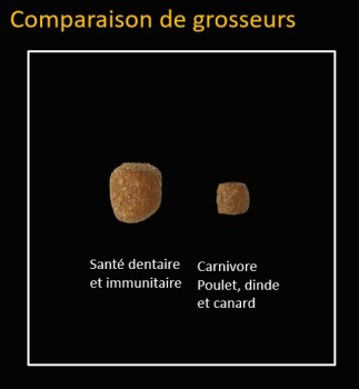 Nourriture pour chats avec grains au poulet et au saumon - Go! Dental + Immune Health