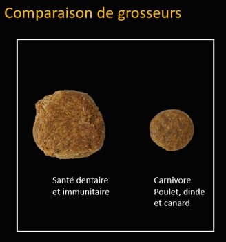 Nourriture pour chiens avec grains au poulet et au saumon - Go! Dental + Immune Health