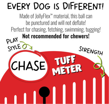 Ballon Tug-n-toss pour chien - Jolly Pets