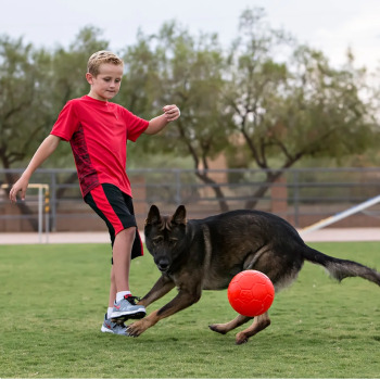 Ballon de soccer pour chien - Jolly Pets