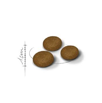 Nourriture pour chat capricieux - Royal Canin