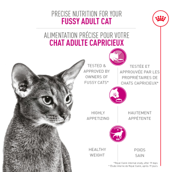 Nourriture pour chat capricieux - Royal Canin