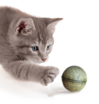 Balles d'herbe à chat et matatabi pour chat - Catit