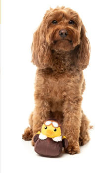 Peluche waddle squaddle Amelia Quackart pour chien - Fuzzyard