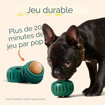 Recharge de Pupsicle au boeuf et au beurre d'arachide pour chiens - Woof