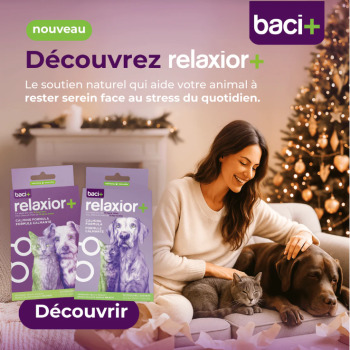 Poudre formule calmante Relaxior+ pour chien et chat de plus de 10kg - Baci+