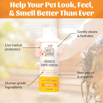 Shampooing 2 en 1 avec probiotiques au parfum de chèvrefeuille pour chiens - Skout's Honor