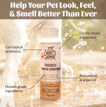 Shampooing 2 en 1 avec probiotiques au parfum des bois pour chiens - Skout's Honor