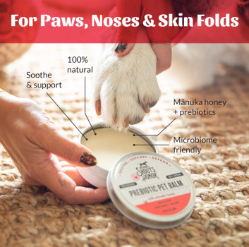 Baume avec prébiotique pour les pattes et le museau pour chiens - Skout's Honor