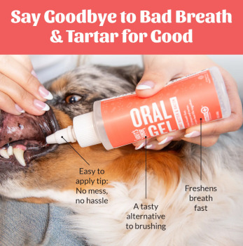 Gel oral à saveur de beurre d'arachide et de bacon pour chiens - Skout's Honor