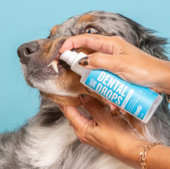 Gouttes dentaires sans saveur pour animaux - Skout's Honor