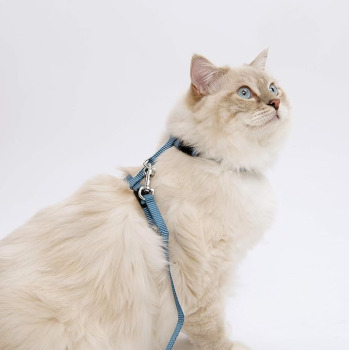 Ensemble de harnais ajustable et laisse bleu pâle pour chats - Catit