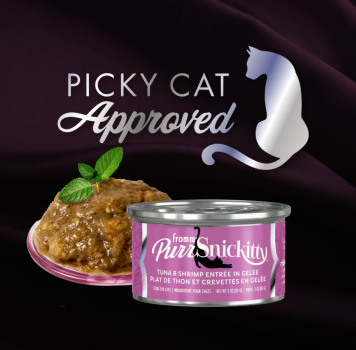 Nourriture en boîte pour chat gelée de thon et de crevette - Fromm PurrSnickitty