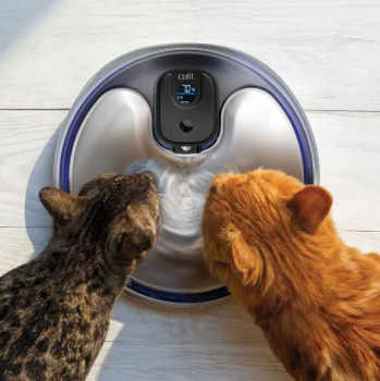 Abreuvoir sans fils Pixi en acier inoxydable avec UV pour animaux - Catit