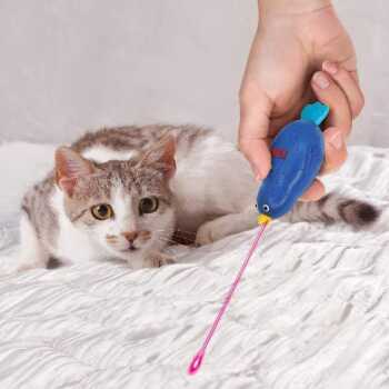 Laser en forme d'oiseau pour chats - Kong