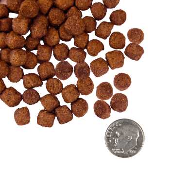 Nourriture peau et estomac sensibles au saumon et à l'avoine  pour chiens - Fromm Nutritionals