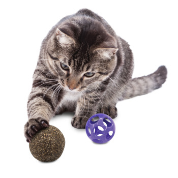 Balle blissy avec boule d'herbe à chat pour chats - Kong