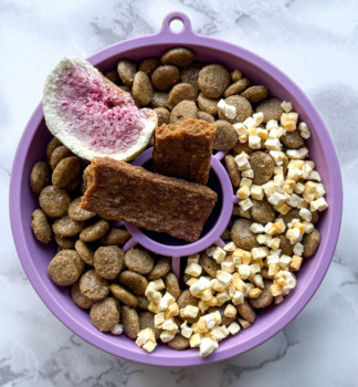 Bol ralentisseur interactif en forme de kiwi exotique lilas pour animaux - Dog's Crush